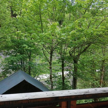 Chalet Au Pont De Flon Le Cornix Екстер'єр фото